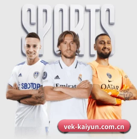 vek-kaiyun.com.cn的方向 - 长期内容价值积累
